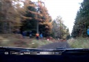 Dayinsure Wales Rally GB / Shakedown Onboard Tänak