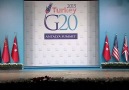 Коты на G20