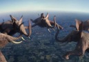 Слоны в свободном полете