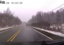 Deer Slips on Icy Road