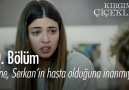 Defne Serkanın hasta olduğuna inanmıyor!