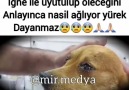 Delale - Offf icim yandı yaaDaha çok video için...