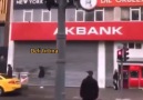 Deli firtina - İnsanları tanıdıkça hayvanları daha çok...
