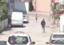 DELİ MAVİ - Çok tarihi günlerden geçiyor yurdum insanı.!!...