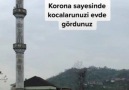DELİ MAVİ - Değerli Çöy Halki sakinleri.!!
