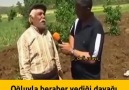 DELİ MAVİ - Geçmiş olsun dayı.!!