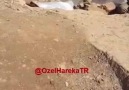 DELIYİZ AMA KANIMIZ BOZUK DEĞİL..!!PAYLAŞMAYAN KALMASIN