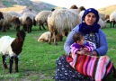 Dengbej Evdıleziz (Xemık Talan)