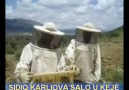 Dengbej SıdıQe karlıovaKilama Salo Keje