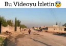 Dengesiz -