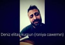 Deniz Elitas - RONIYA CAVEMIN (kursun)