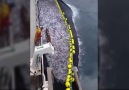 Denizi Kurutan Balıkçı
