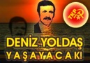 DENİZ YOLDAŞ YAŞAYACAK!