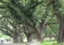 Depo ya alkol konursa sonuç.... - KARA AMBAR Kamyoncular DERNEĞi TR
