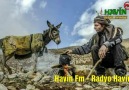 Derdo çı derdeki be dermano... - Havin Fm - Radyo Havin