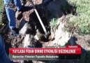 Derneğimiz Giresun-Ordu Temsilciliğinin... - Türkiye Ormancılar Derneği