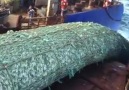 Dev Balıkçı Gemisi - Supertrawler