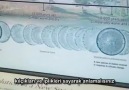 Diatomlar  Yeni bir Türün Evrimi