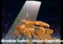 Digimon Bölüm 7 (OMNİMON)