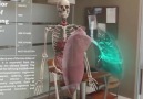 Dijital Anatomi Teknolojisi...