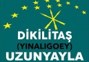 DİKİLİTAŞ (YINALIGOEY) UZUNYAYLA