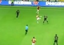 Dikkat Pitbull Çıkabilir! Felipe MELO