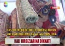 Dikkat!!! - Talas Enpak Hali Yikama