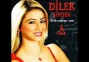 Dilek Şimşek Maral