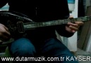 dimarzio aldimeola (dp201-202) manyetikli elektro bağlama