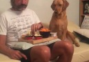 Dine Revoredo - A discriço em forma de dog