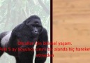 Dinler Hayal Ürünüdür