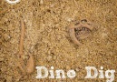 Dino Dig Sensory Bin