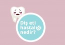 Dis eti hastalıgı nedir 0850 304 0347