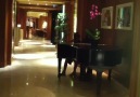 Divan otel'e sığınan direnişçiden piyano resitali