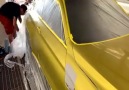 DIy & CRAFTs - Rebuilding A Wrecked BMW M4 (Frame Damaged)...
