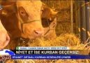 Diyanet ortaklı kurban kesenleri uyardı.Niyet et ise kurban geçersiz!