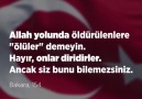 Diyanet TV - Çocuk Şehitlerimiz Facebook