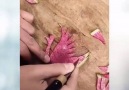 DIY Carving Fruits to Decorate the Meal