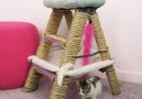 DIY Cat Ladder Fort