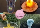 DIY Flower - 5 Amazing Science Experiments! Facebook