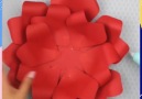 DIY Paper Flowers By Pearl Paper Flowers