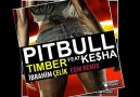 Dj ibrahim Çelik & Kesha - Timber #Edm 2014