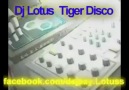 Dj Lotuss Tiger Disco