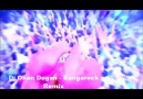 Dj Okan Dogan - Bangarock  Remix