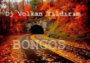 Dj Volkan Yıldırım - Bongos ( 2015 )