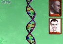 DNA'nın yapısı