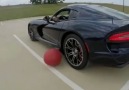 Dodge Viper İle Balon Patlatmaca )