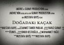 DOĞADAKI KAÇAK - FRAGMAN