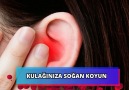 Doğal Reçete - Kulağına Soğan Sokunca Ne Yaptığına Baktın Mı