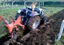 DOG AND TRACTOR DRİVİNG